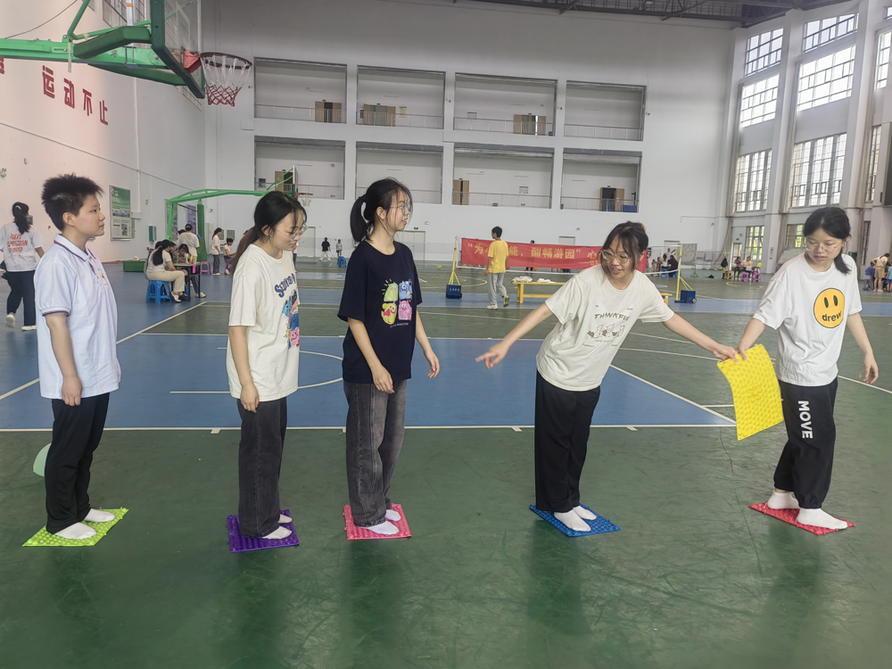 搭桥过河项目