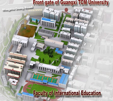 Orientation