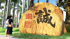 【大美桂中医】 镂石成金 文景相融 桂中医阿平湖惊艳亮相