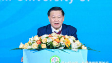 第七届中国—东盟传统医药论坛在广西防城港市成功举办