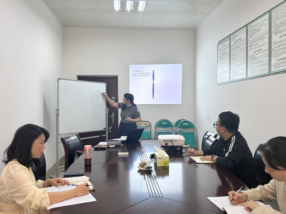 陈颖老师试讲