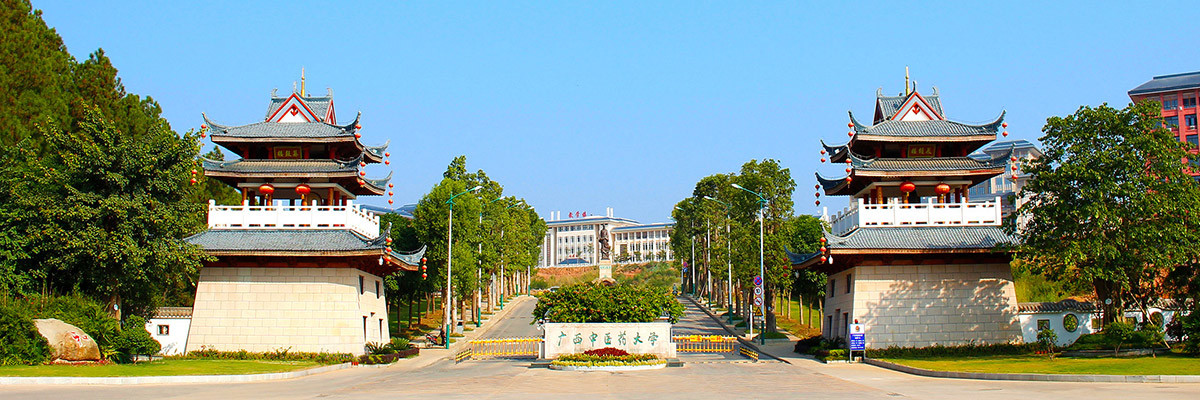 首页大图-02