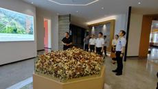 肖健副校长率调研组前往浦北县 共同探寻陈皮产业创新发展路径