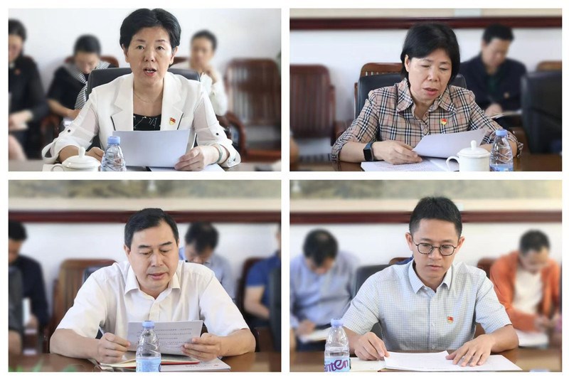 中心组成员发言