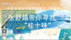 央视主持人张舒越带你寻找“桂十味”