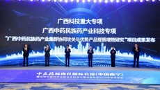 中医药标准化国际会议在南宁成功举办