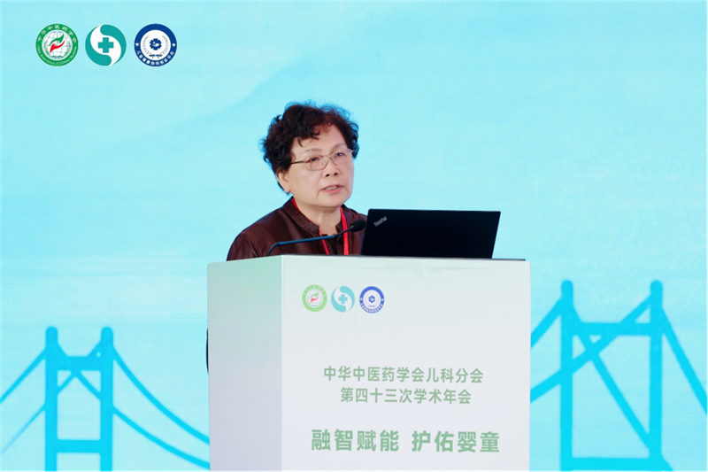 王力宁教授在大会作学术报告