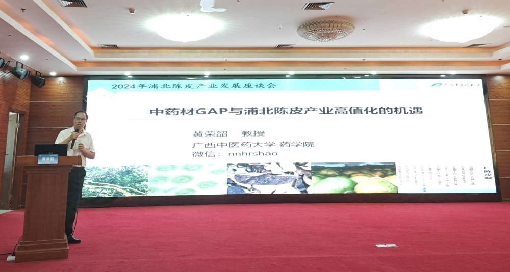 黄荣韶教授在会上演讲.jpg