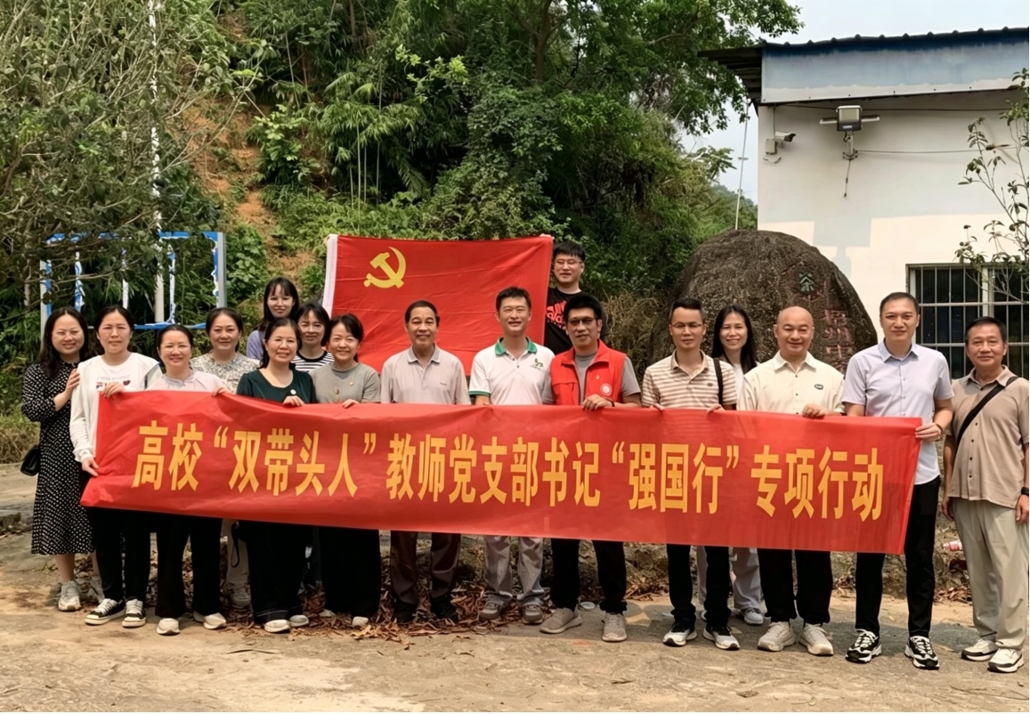 图片5