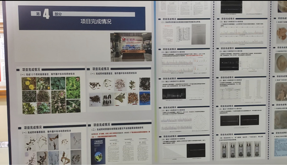 图片7